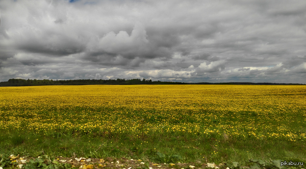 ������� ����. ������� ������������ ������ � ��������� ������