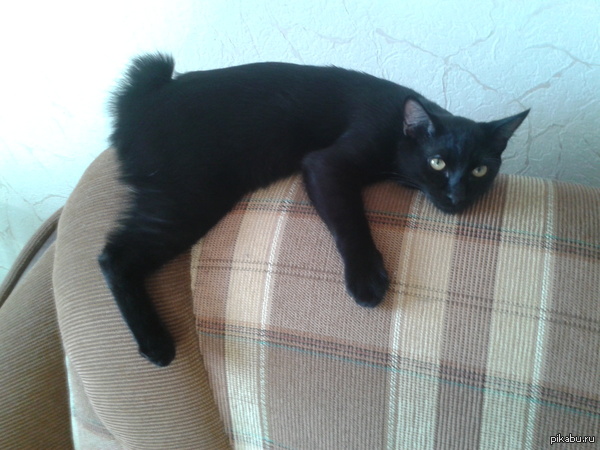 ����� ��� (���������� �������) ���� ����� ���.