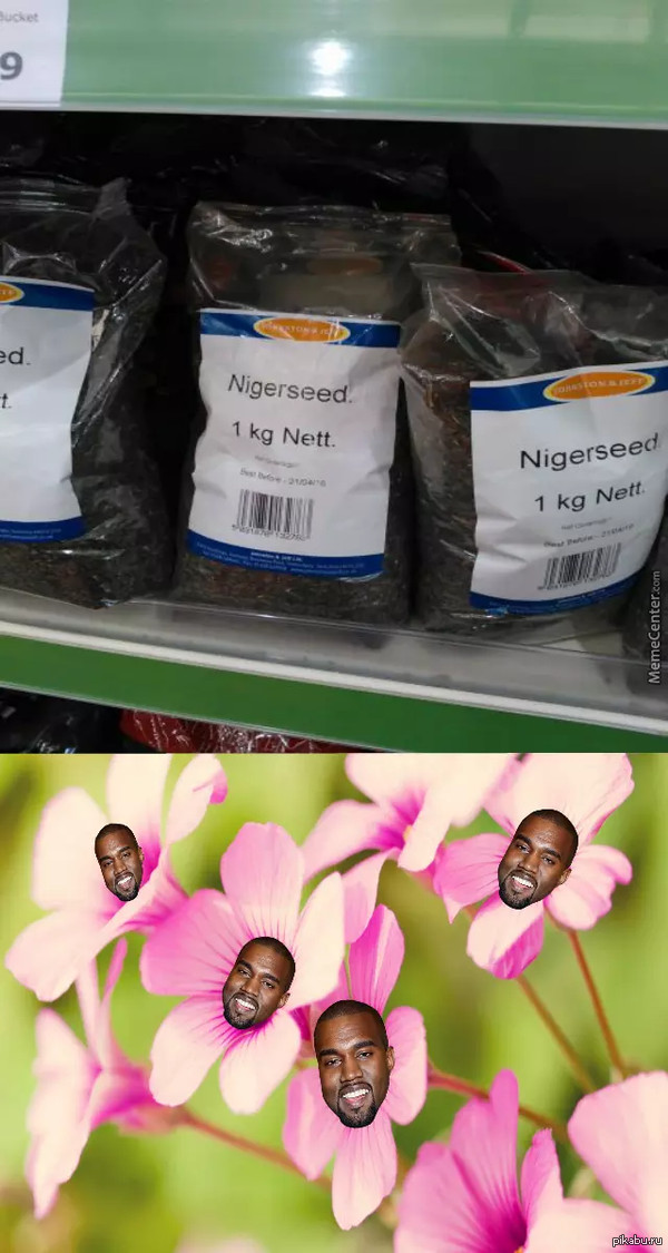     ,       ,   )