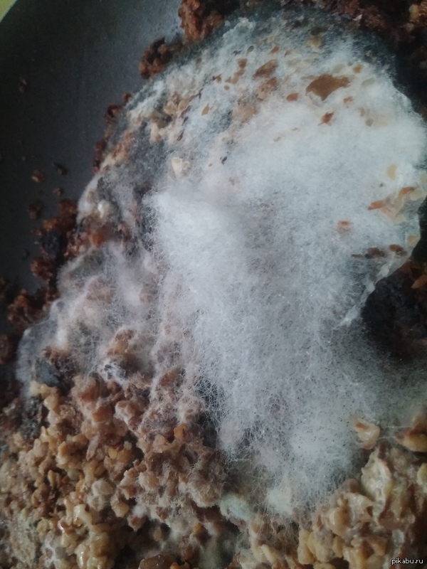 ��� ��� ������, ����� �� - ������.