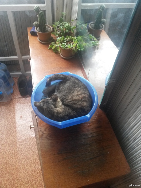 Немного уюта!