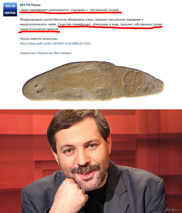 ������, ������������!