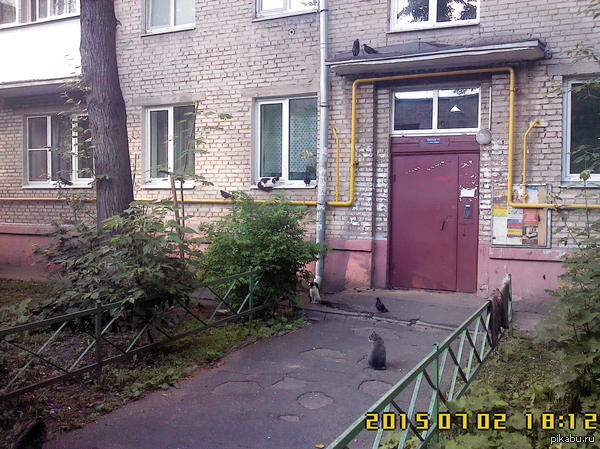 � � ��� ���� � ������ ������ =)