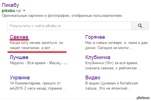 Пикабу свежее мобильная версия с картинками