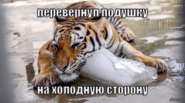 �� ������� �����...