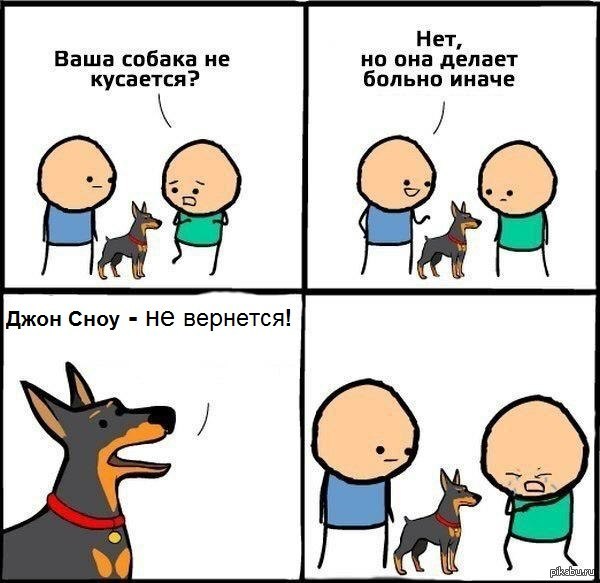 Ненавижу эту собаку