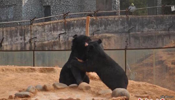 ������ ��� ���� ������ ���� ��������, ������ �� �� �����.