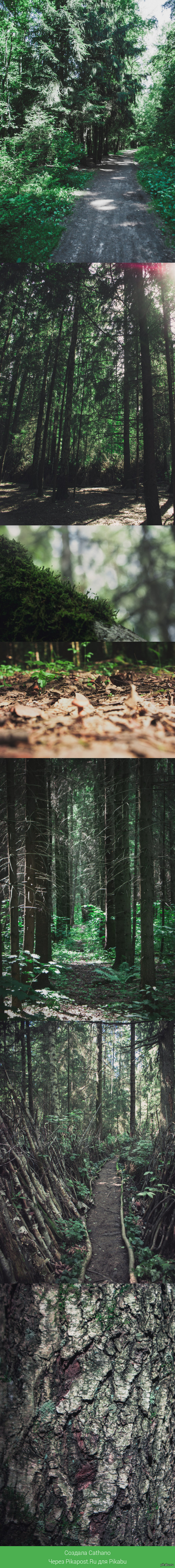 ������� ������