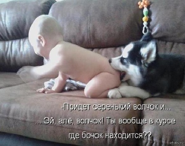 � ��������� ����.