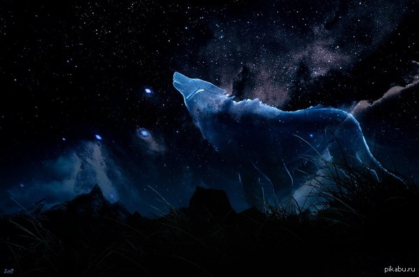 ���������� ����