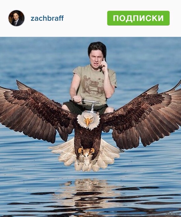 � ������