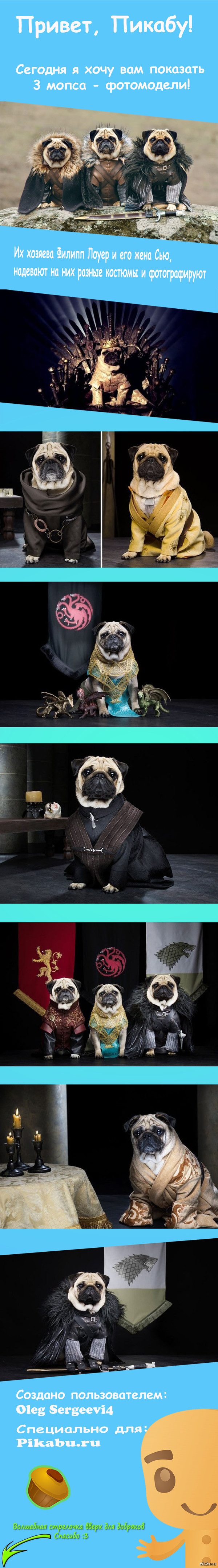 ������ ����� ����� � �������� � ����� ����� :3