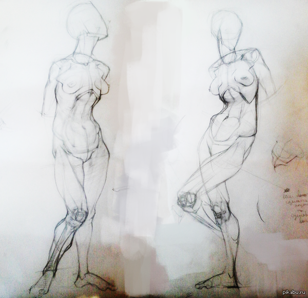 13/365 учебные зарисовки по анатомии