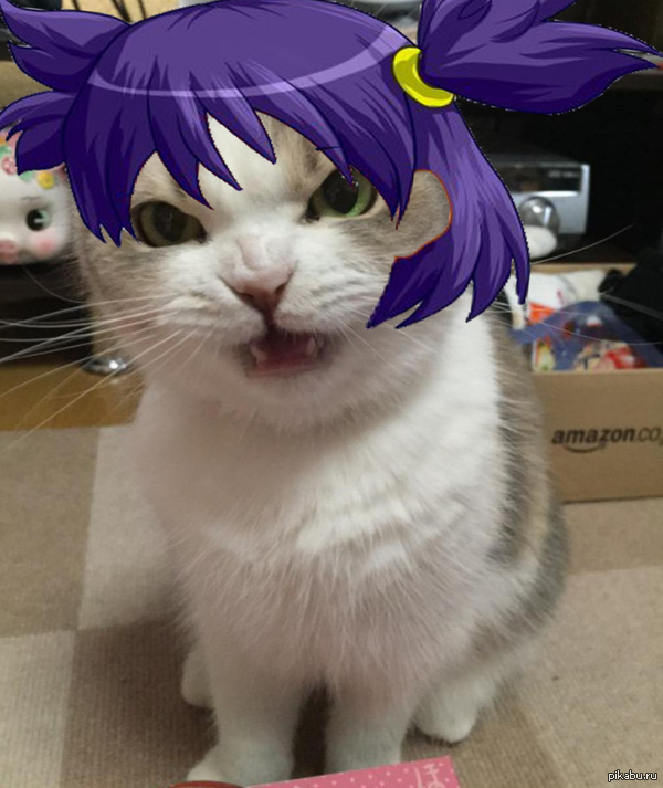 ДА НОРМАЛЬНО ВСЁ!