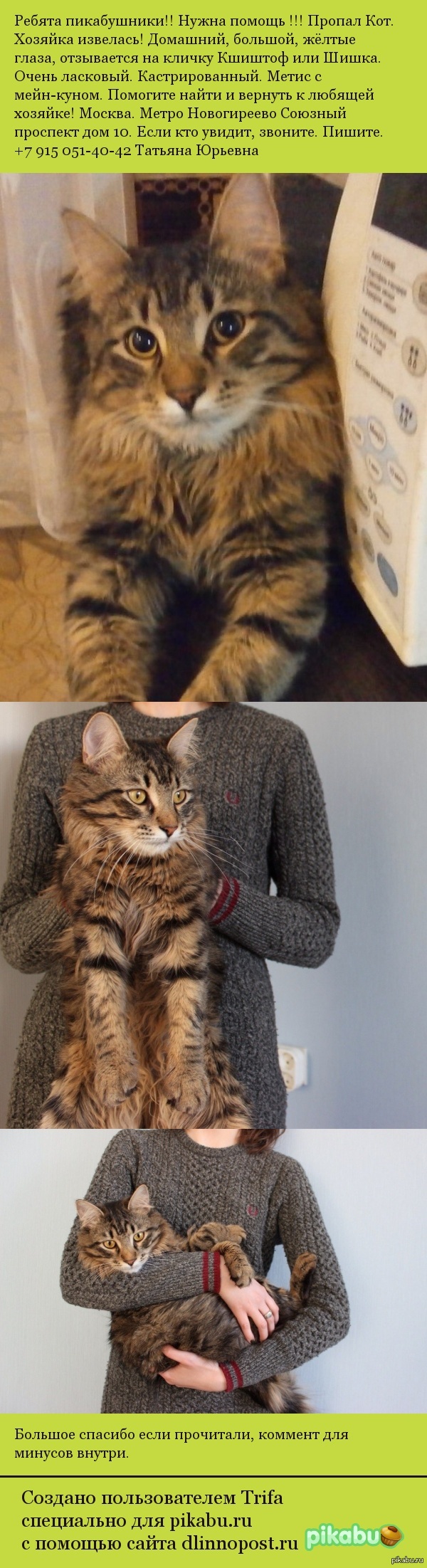 Ребятки нужна ваша помощь, пропал кот.