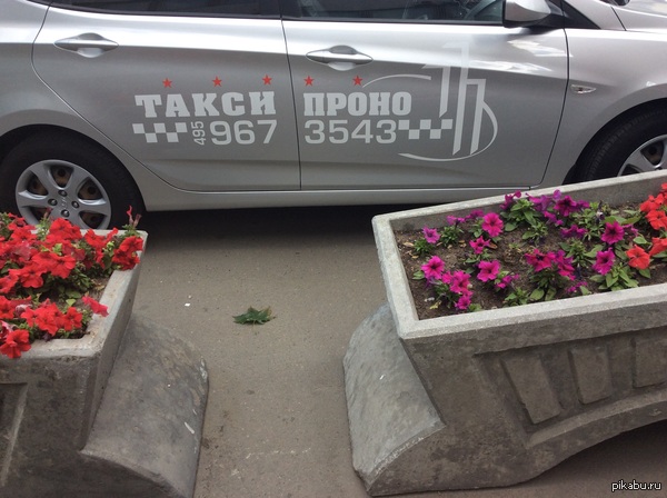 А буковки так и переставляются в голове