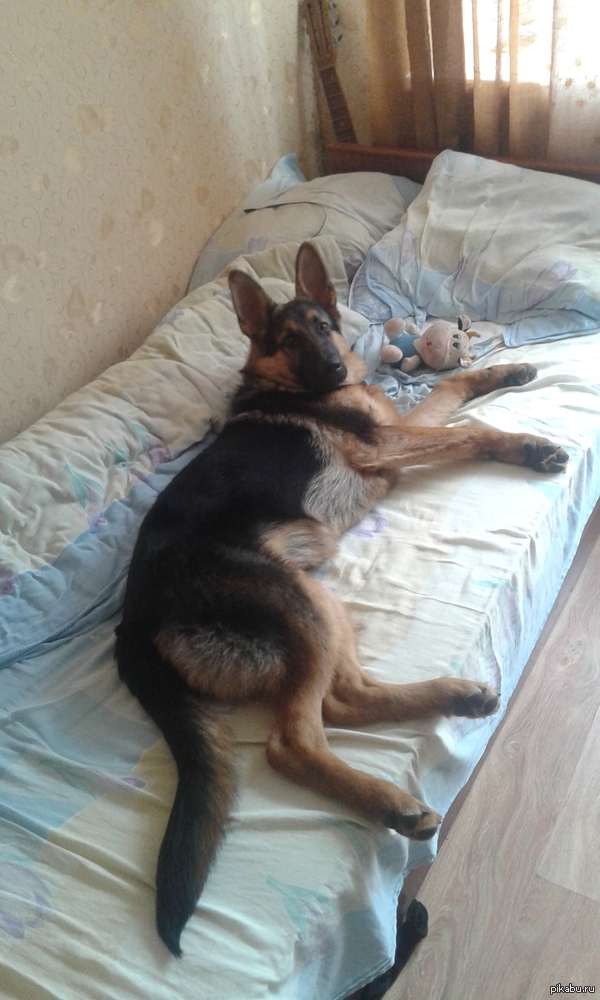 ����� � ���� ����� �����?