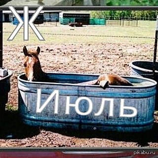 ���������...