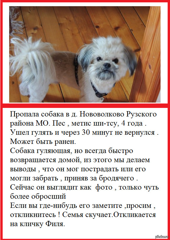 SOS! ���������� ��������!!!