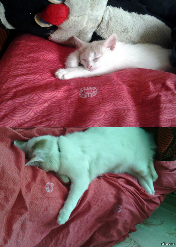 �� 6 ������� �� ��������� ������� ������� ����� 6 �� �������)))