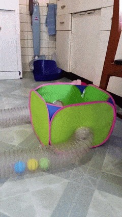 Жуть.