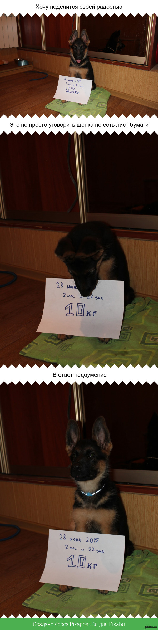 ������ ������� ����� �� ����, ����� ����������.