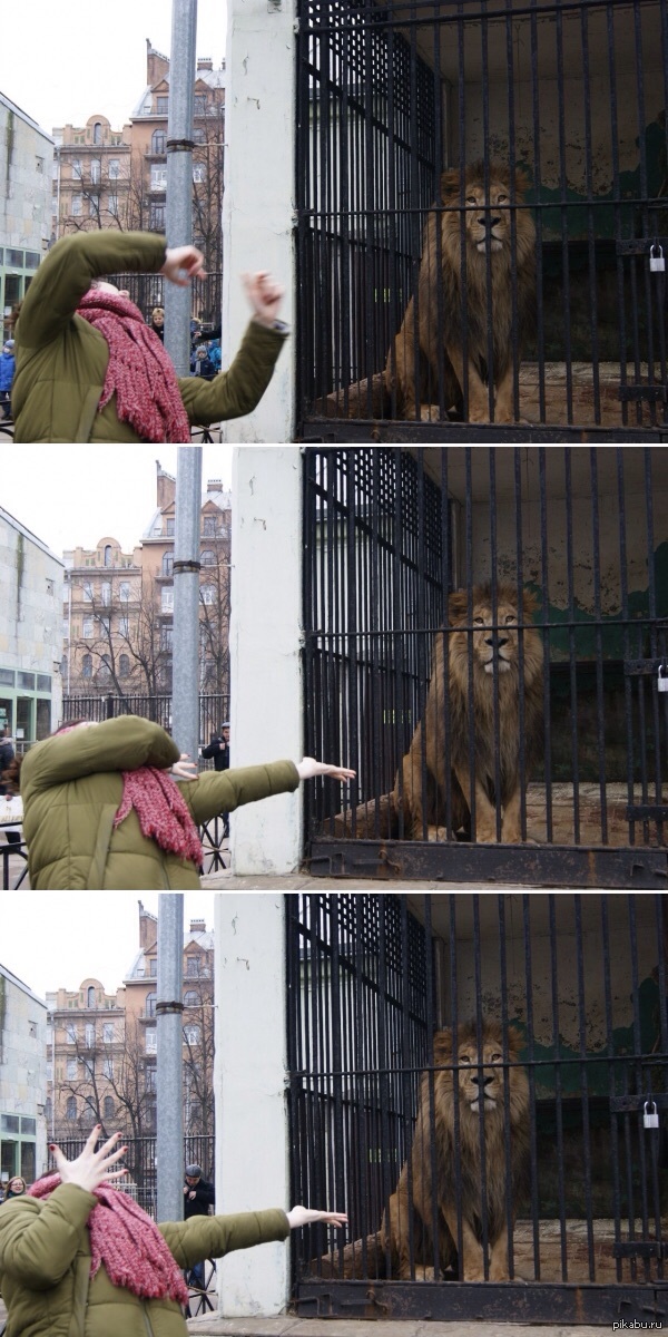 ����� �������