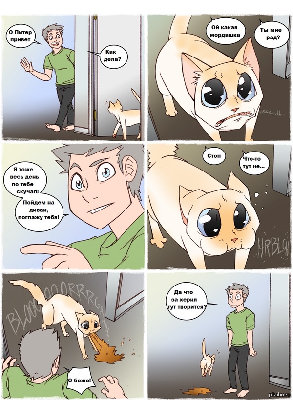 Жизнь с кoтoм