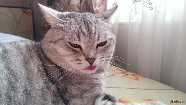      =( 