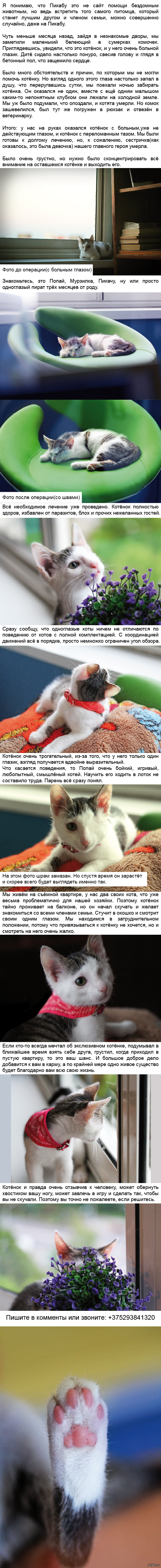 Одноглазый бандит