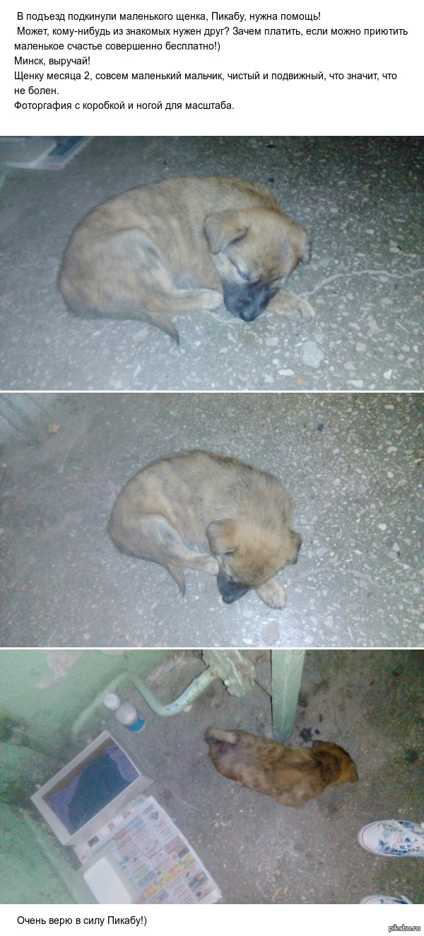 ������, ���� � ���� ����!:)