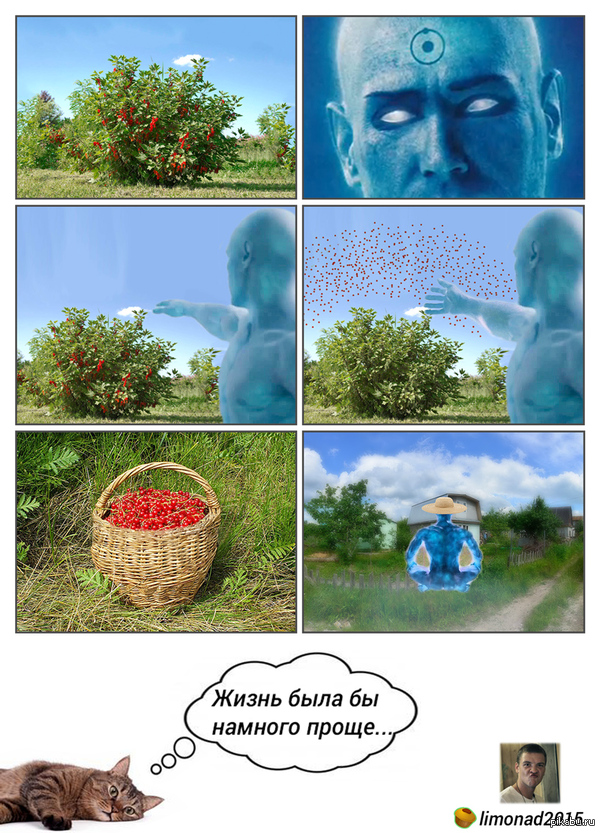 Собирал я тут смородину на даче...