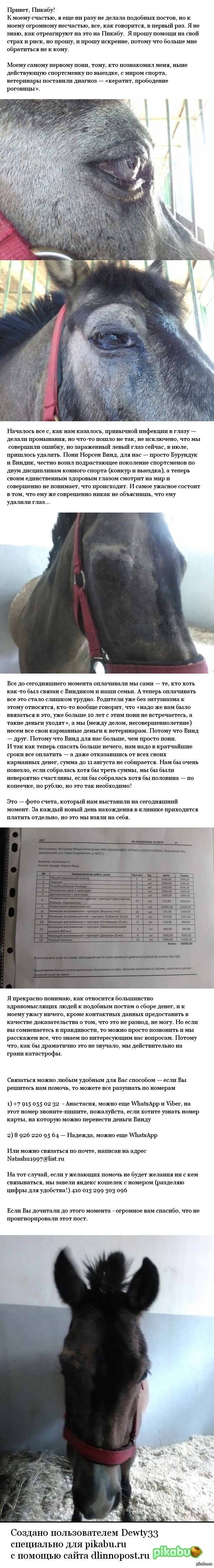    ,   -  ,      ,  , ,  !