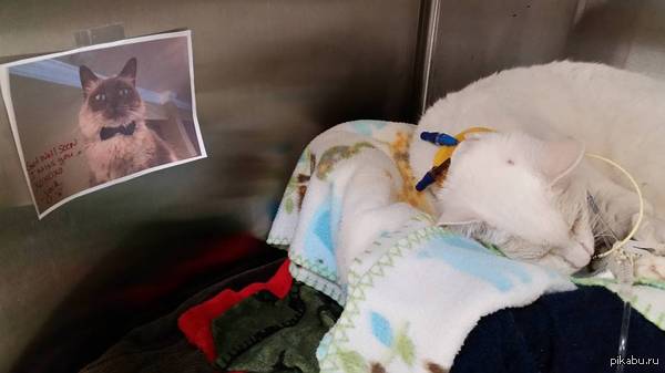 ��� ����� ������ � ���� ��������. �� ��������� ���� � ������ ��������� �� � ������ ��������, ������� ������ ��������� ��� ��� � ������