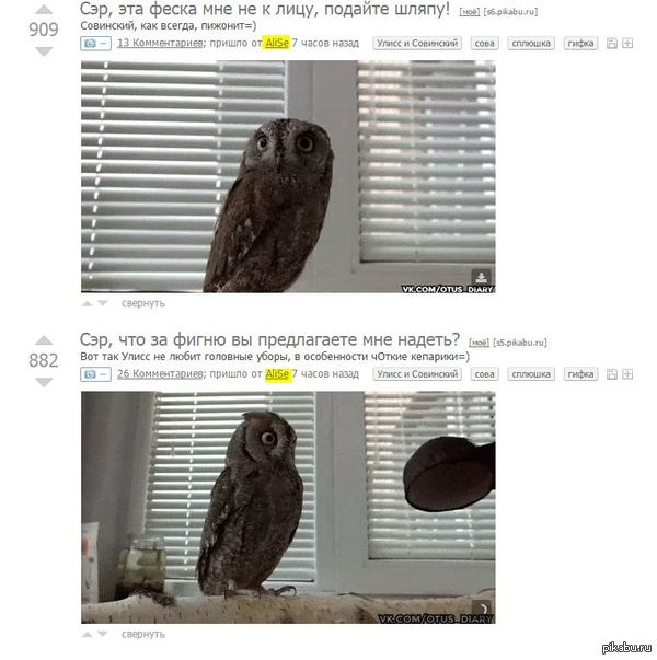 �������������� 99 ������)