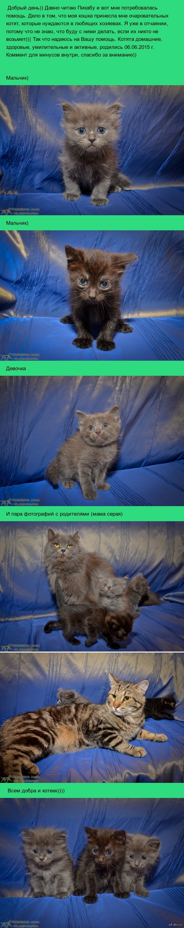 ���������, �����������)))