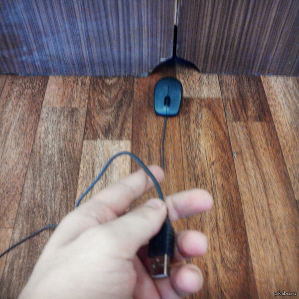 ������ �� ����