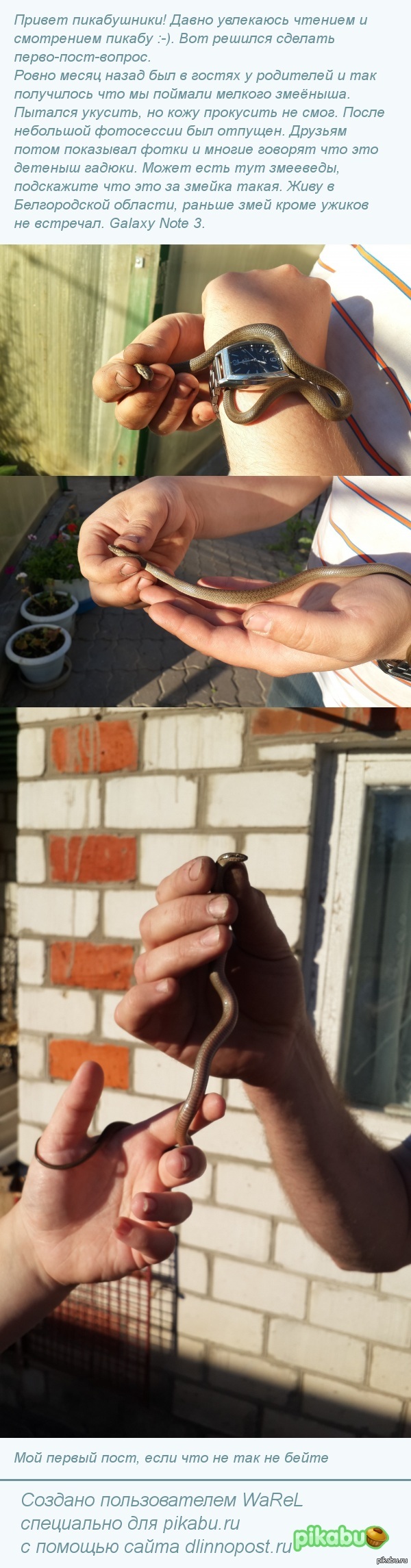 ���������� ��� �� ������?