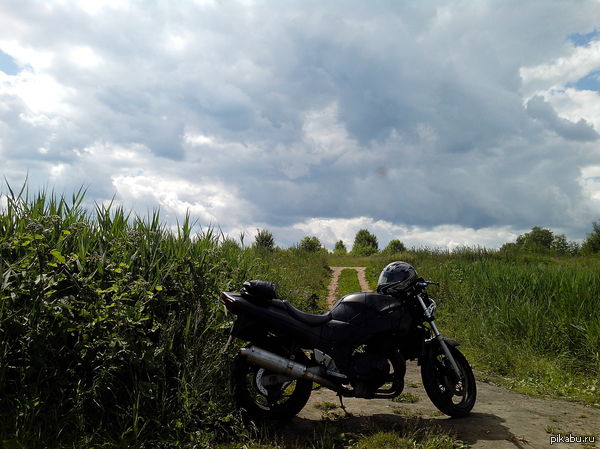 Хорошо на природе