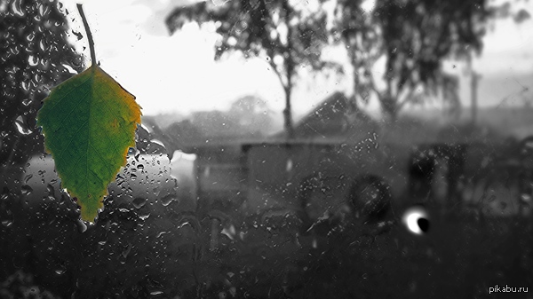 ��� ����� �����?