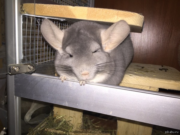 �� ���-�� ����������� :)