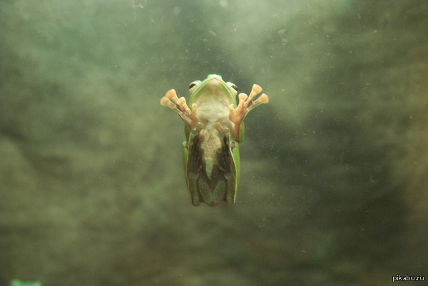 ����-������