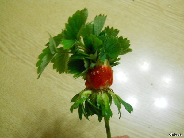 ���������� ������