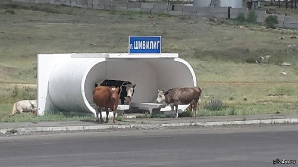 �������� ���� �� ���������