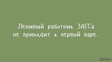 Ленивец | Пикабу