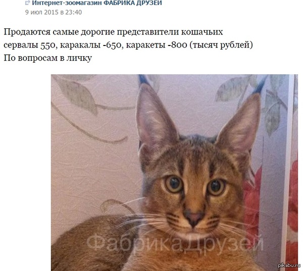 ����� ��� �� ������ ���� ��� �������� � ������ �� �������� ������. � ��� ��� ���� ��� ��� �����?