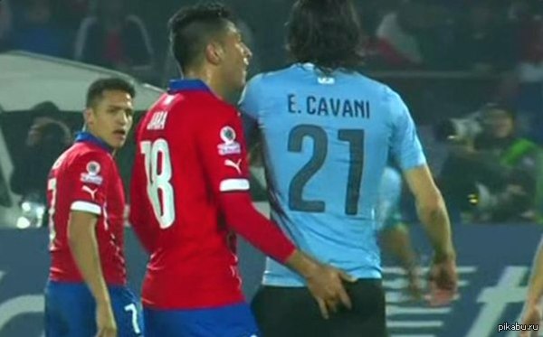 ������ �����������