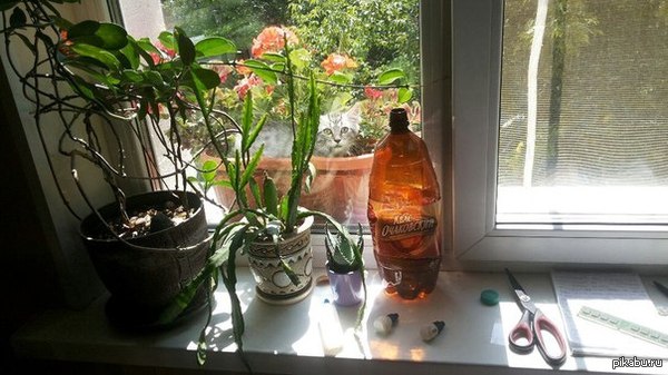 ���� � ���������� �����������