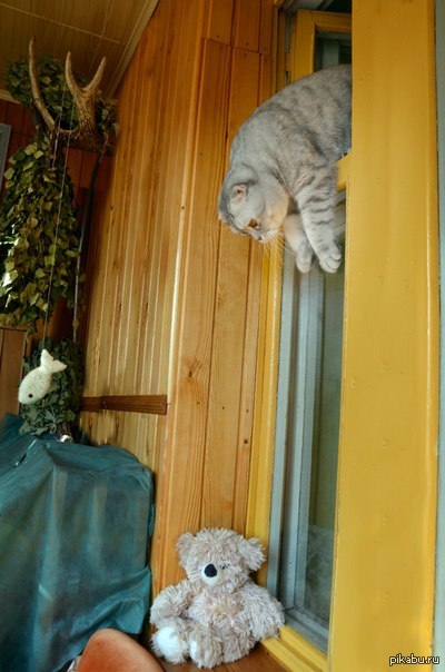 Силенок не хватило спрыгнуть