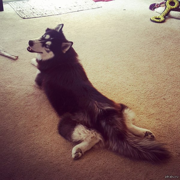 А ты точно продюсер?